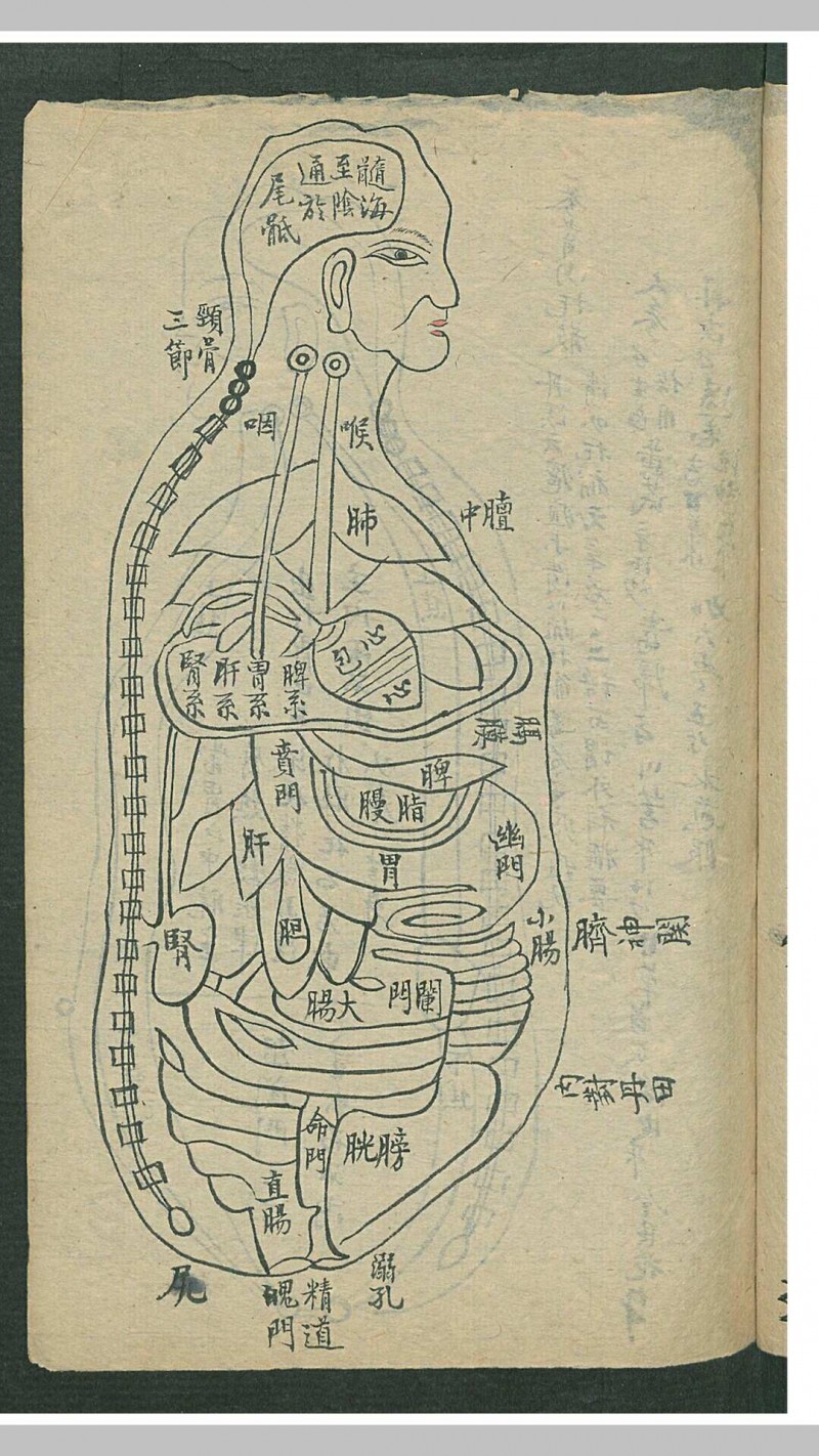 外科图形法治