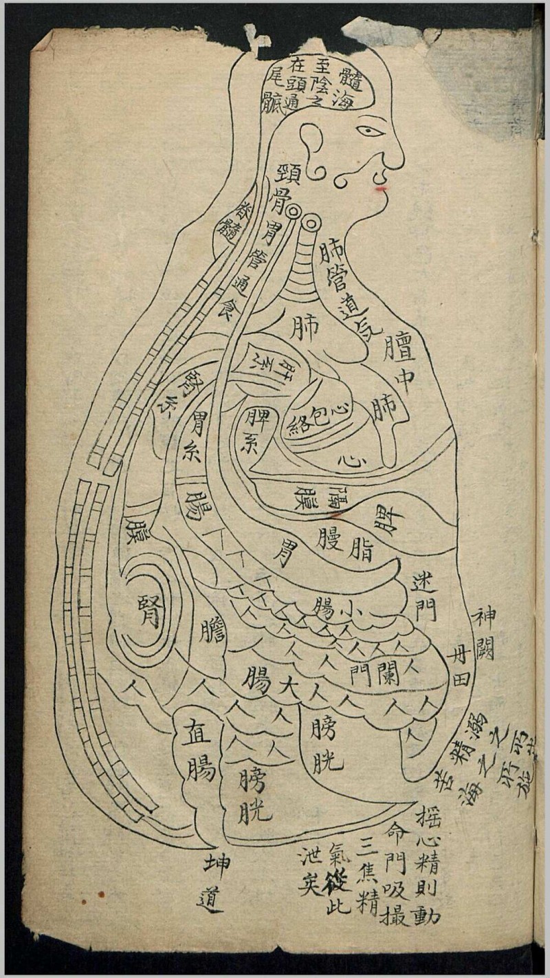 秘传推拿妙诀