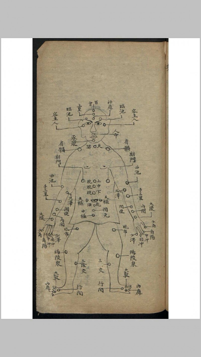 杨继洲 靳贤 针灸择要