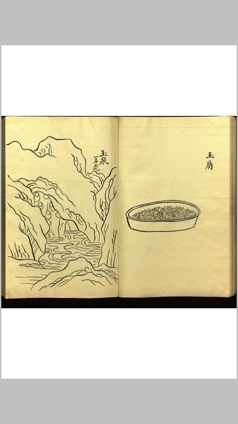 绍兴校定经史证类备急本草画(据卷二至五目录题) 五卷 (宋) 高绍功 等校定