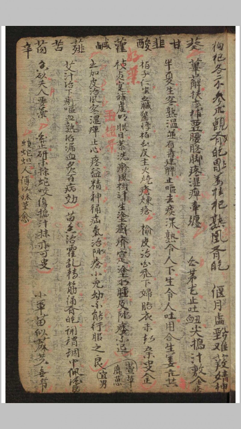 家藏医药抄本, 1882