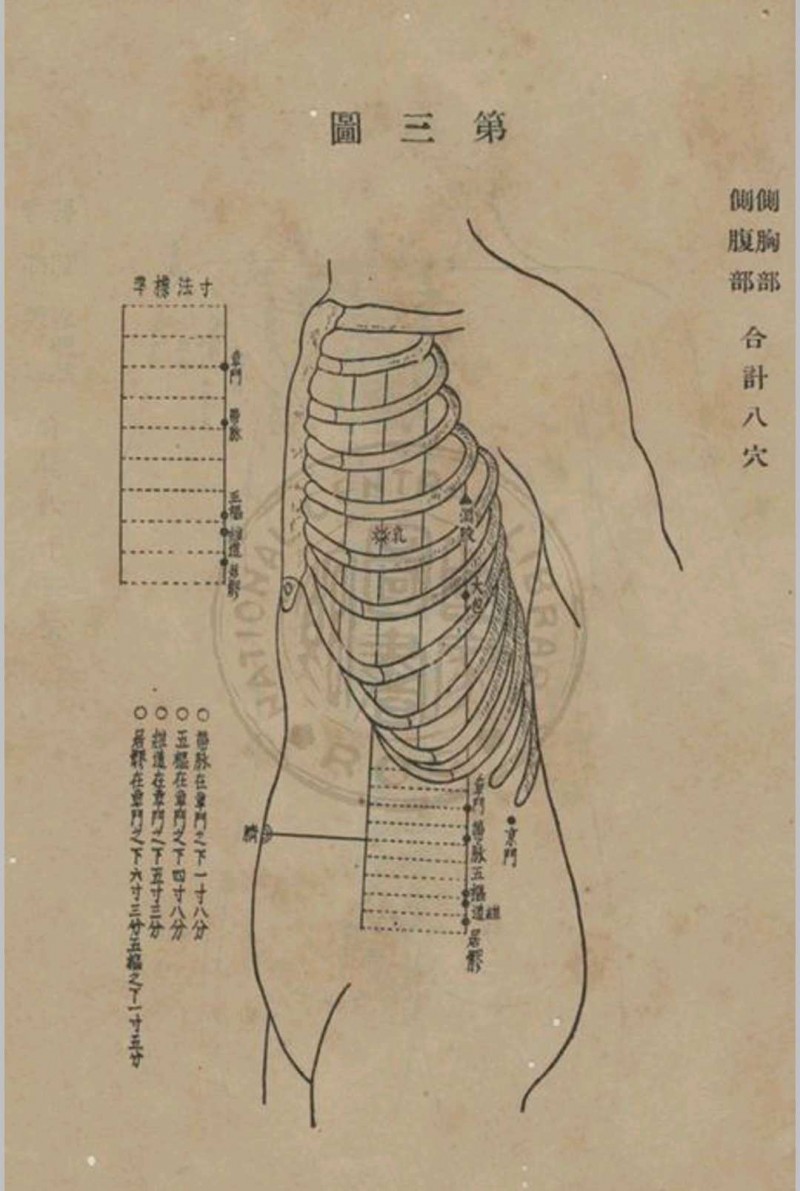 高等鍼灸学讲义张俊义译述