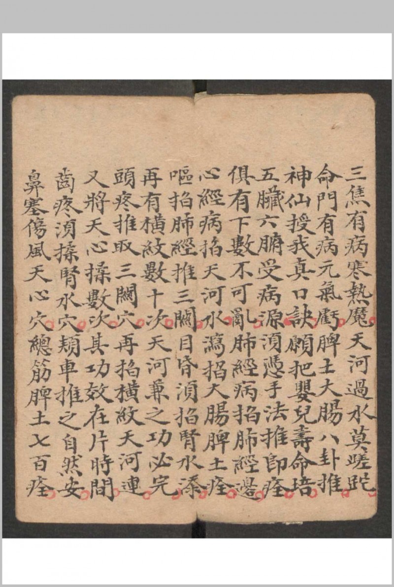 小儿科 , 1895