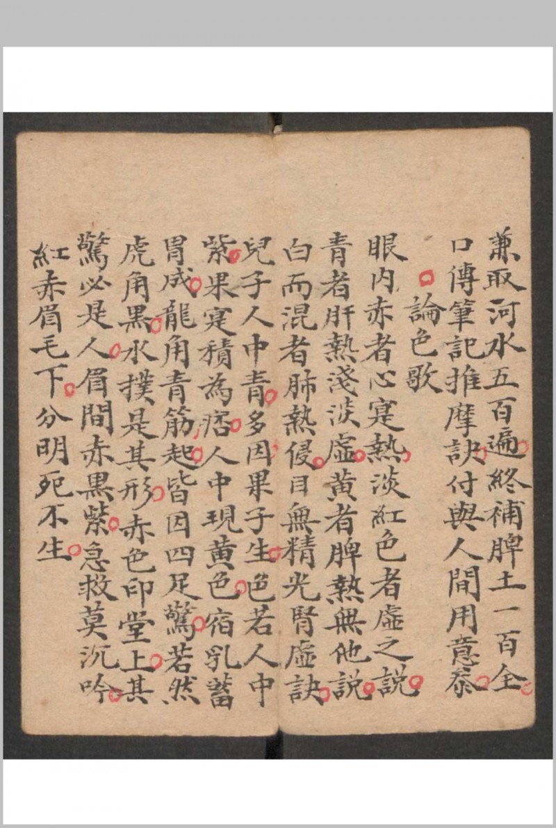 小儿科 , 1895