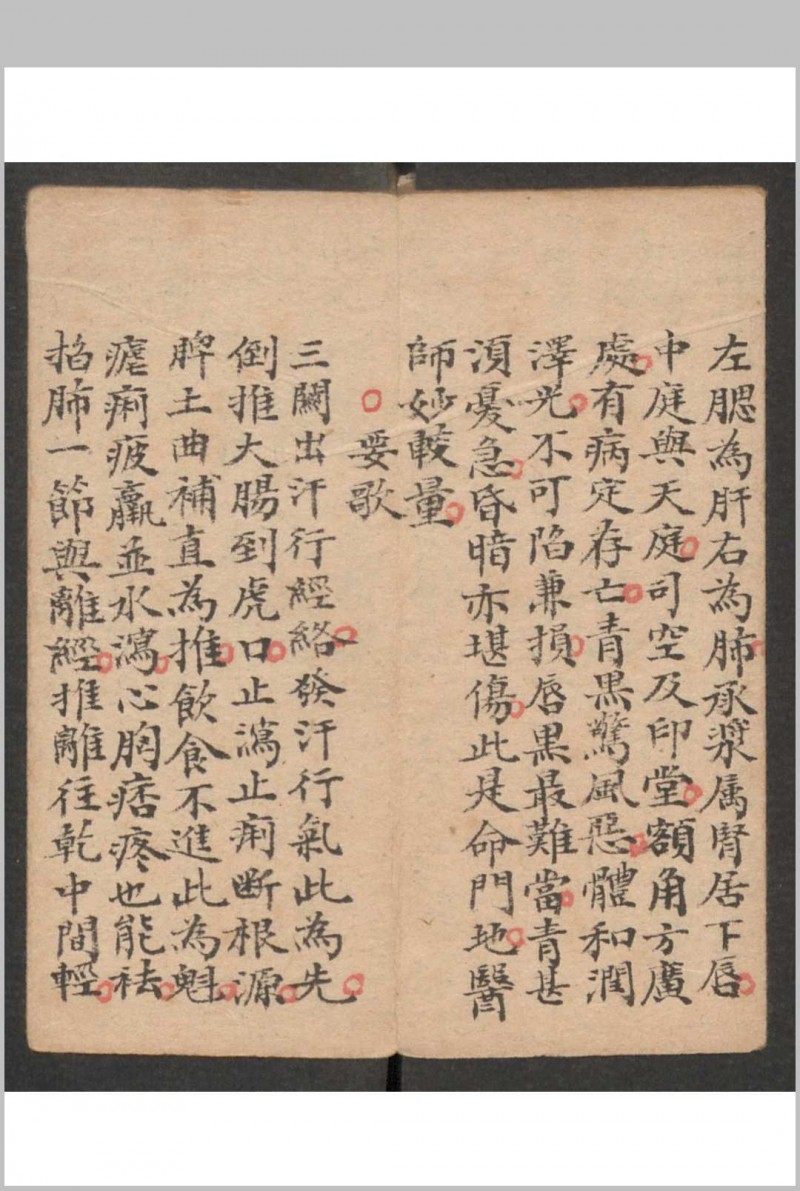 小儿科 , 1895