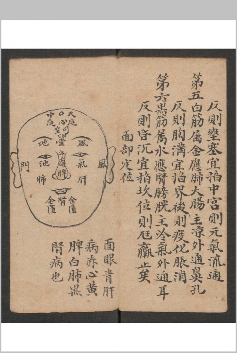 小儿科 , 1895