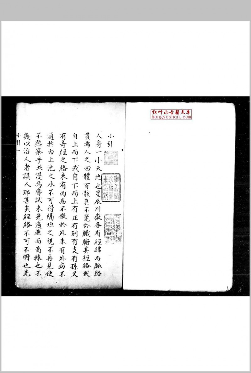 经络笺注 (明)韦编撰 传钞明崇祯丙子(九年)刊本五术阁-中国传统文化五术（山医命相卜）的研究五术阁