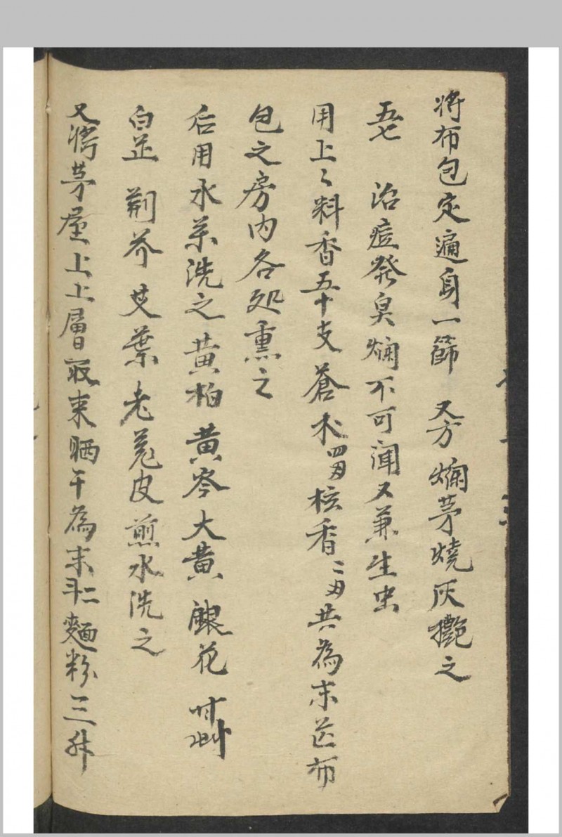 痘科秘诀 , 1900