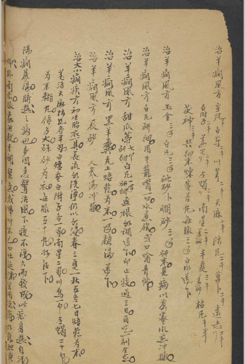 纪云 药及方杂抄   1900