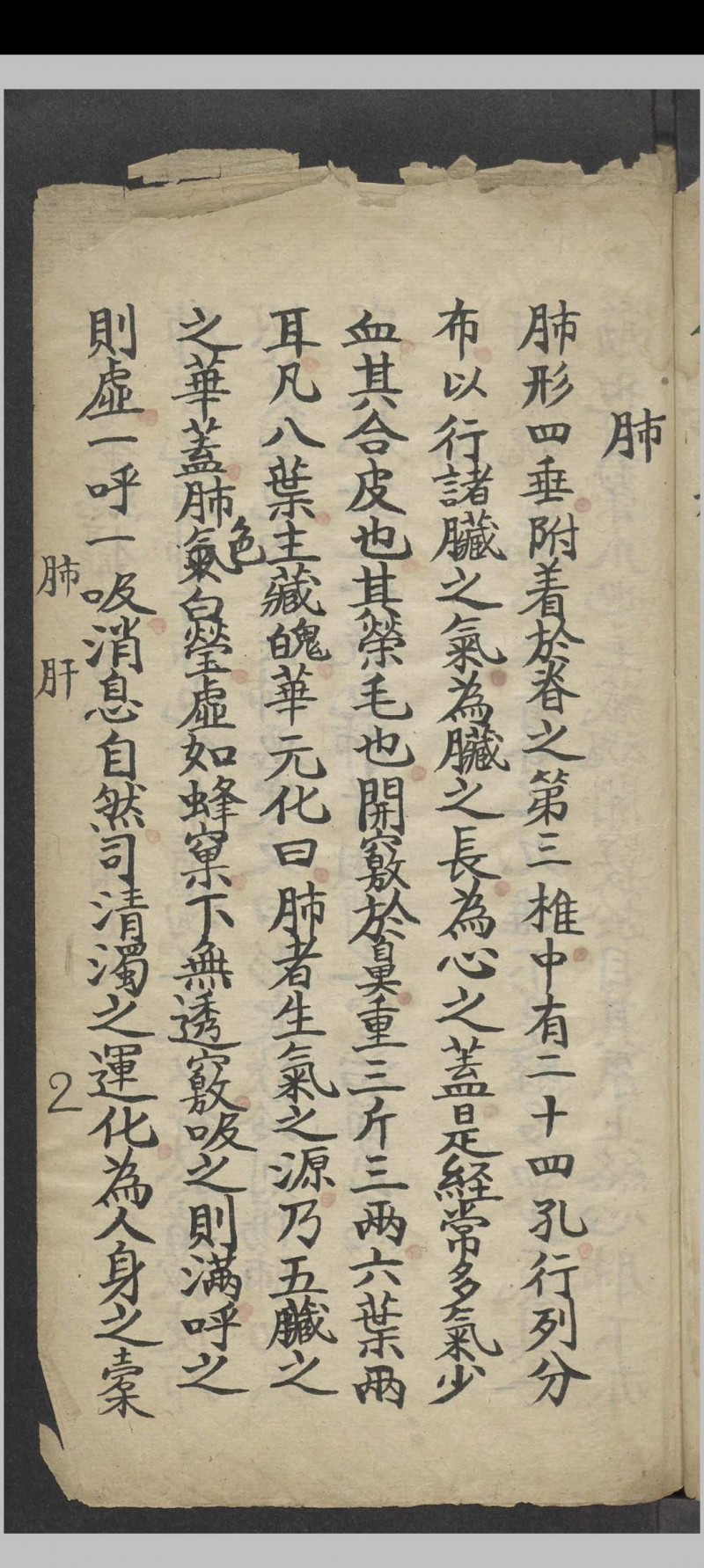 医理集抄   1900