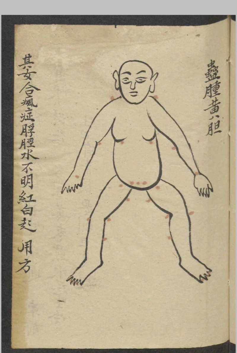 男妇诸吊便方   1900