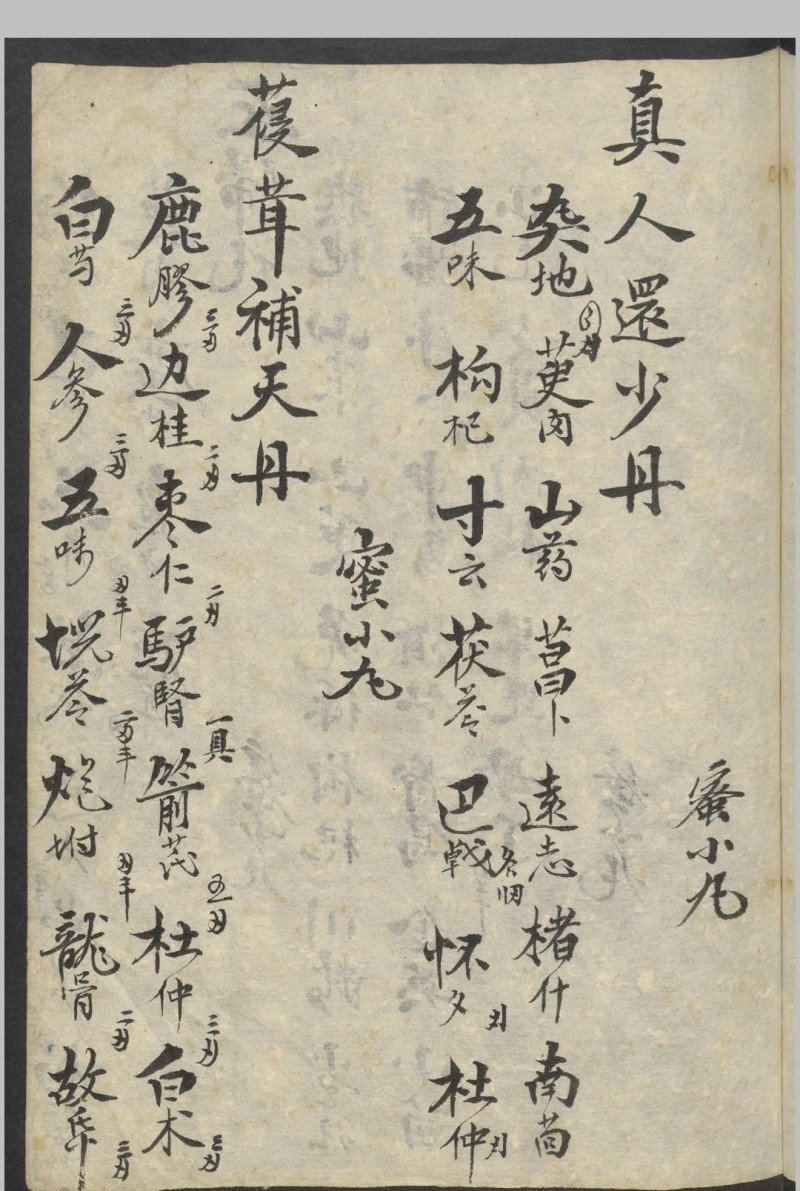 丸散药方   1900