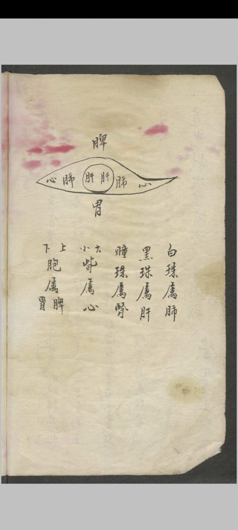 高逢元 眼科秘书   1930