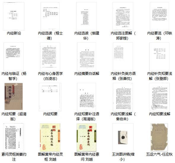 图片[1]五术阁-中国传统文化五术（山医命相卜）的研究492本中医资料经典类大全五术阁-中国传统文化五术（山医命相卜）的研究五术阁