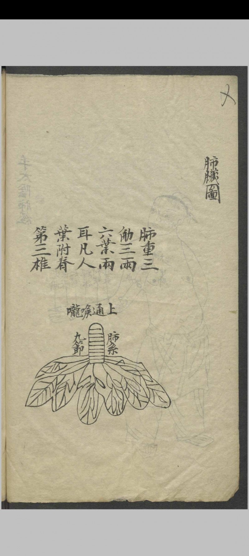 针灸全图汇编   1900