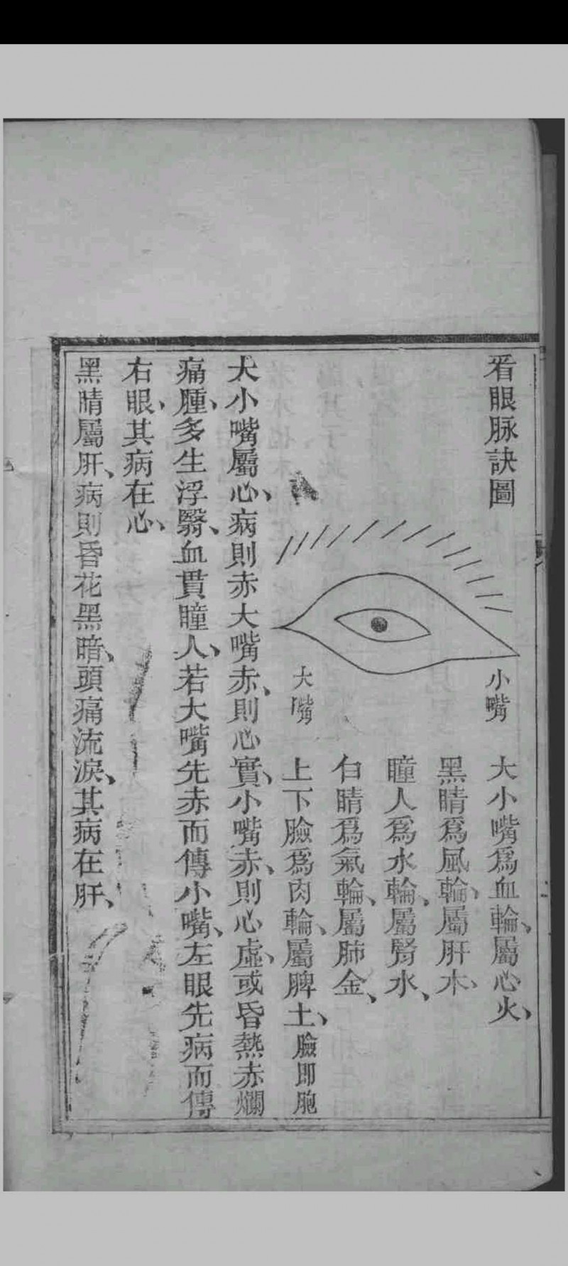 眼科撮要