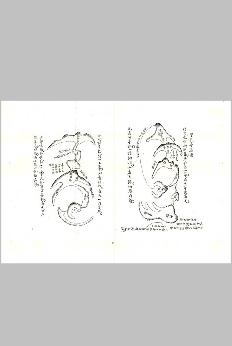 严可珍先师秘传拔砂图