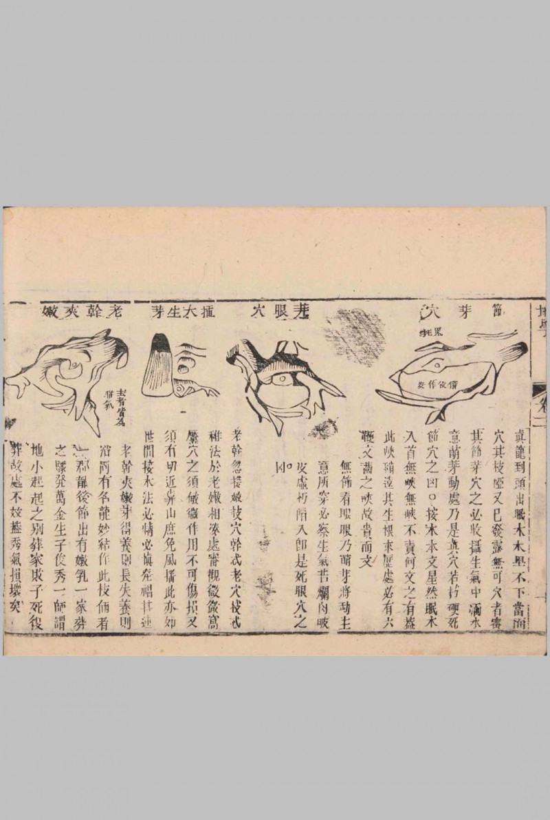 六圃沈新周先生地学.清.沈镐著.同治7年(1868年)元兴堂木版本