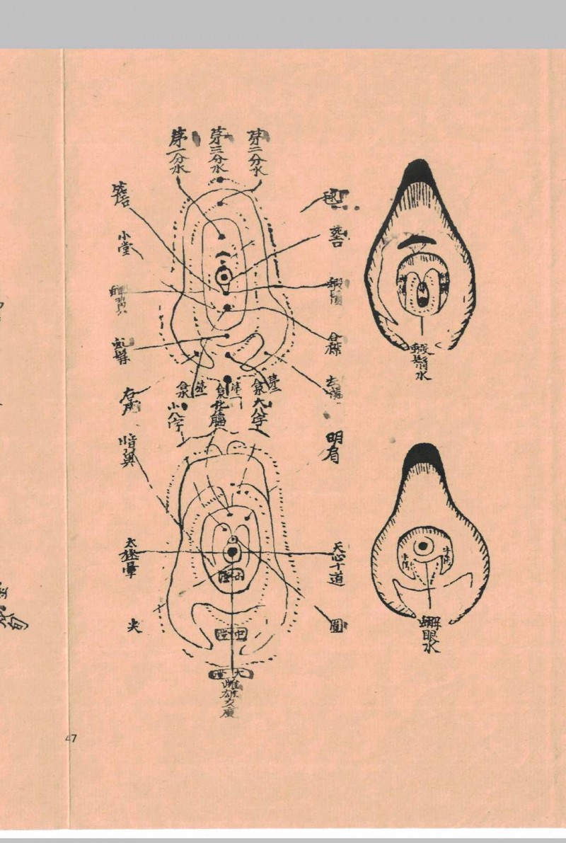 地学统照